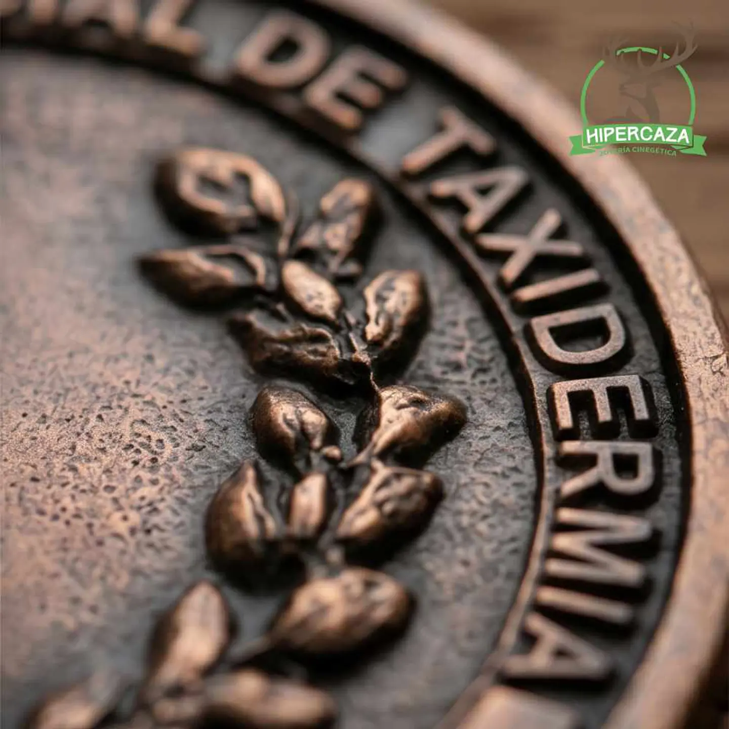 Medalla de homologación corzo bronce 6
