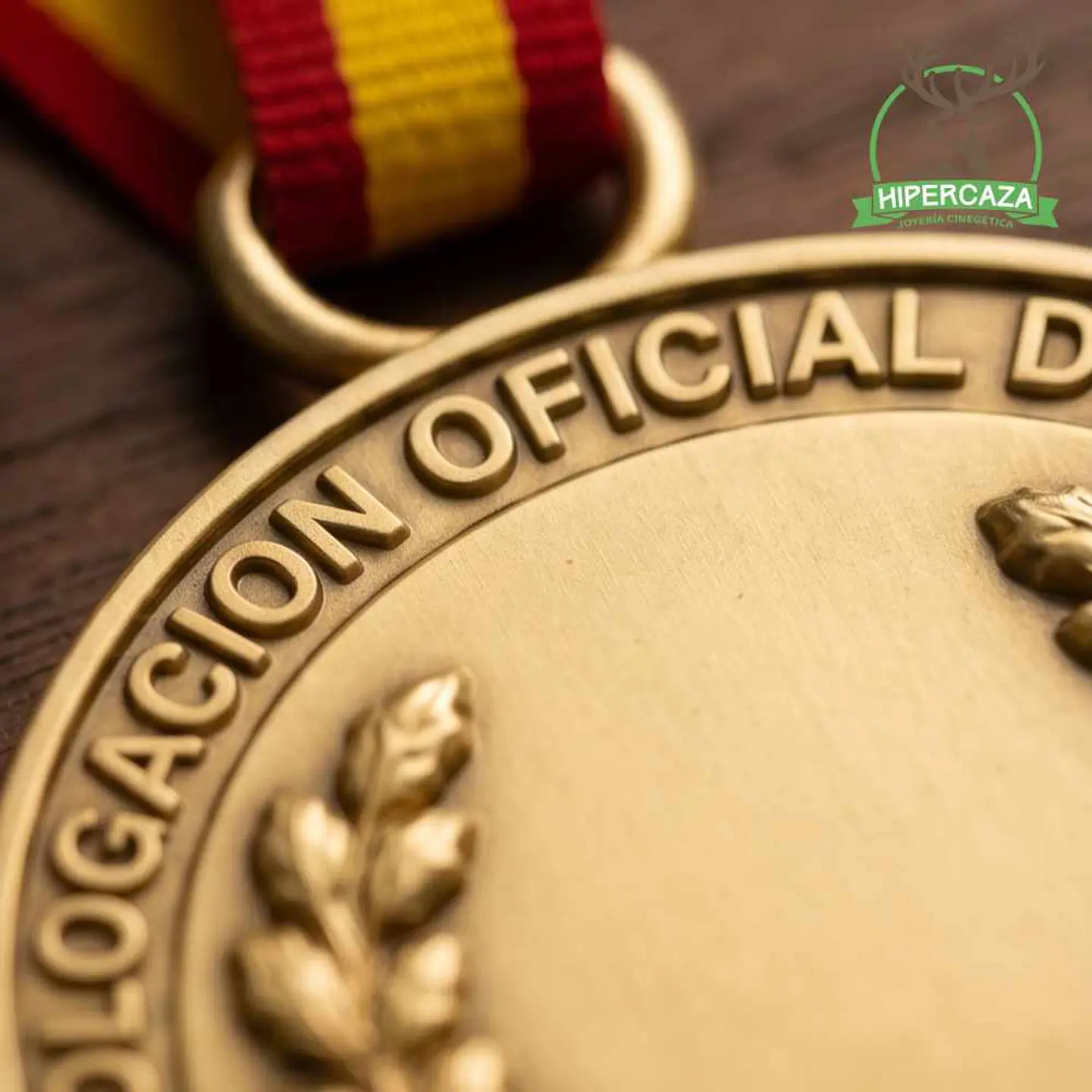 Medalla de homologación rebeco oro 6