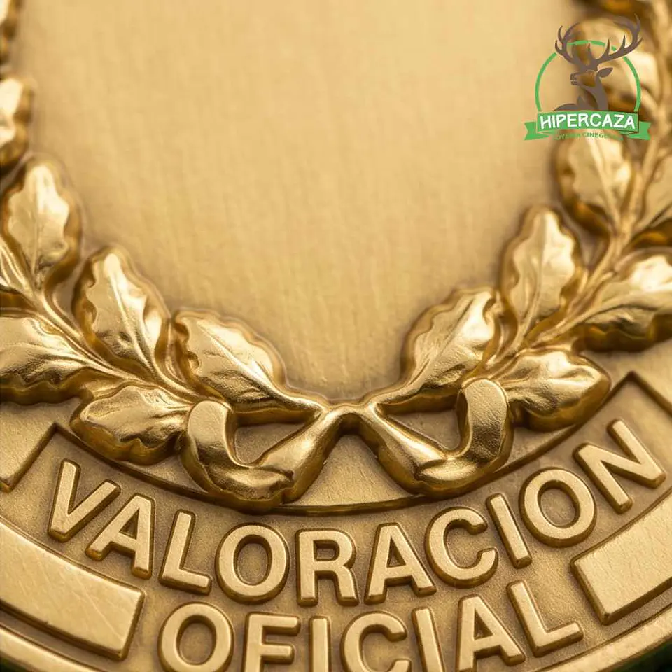 Medalla de homologación macho montés oro 7