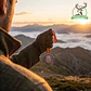 Medalla de homologación macho montés plata - Thumbnail 5