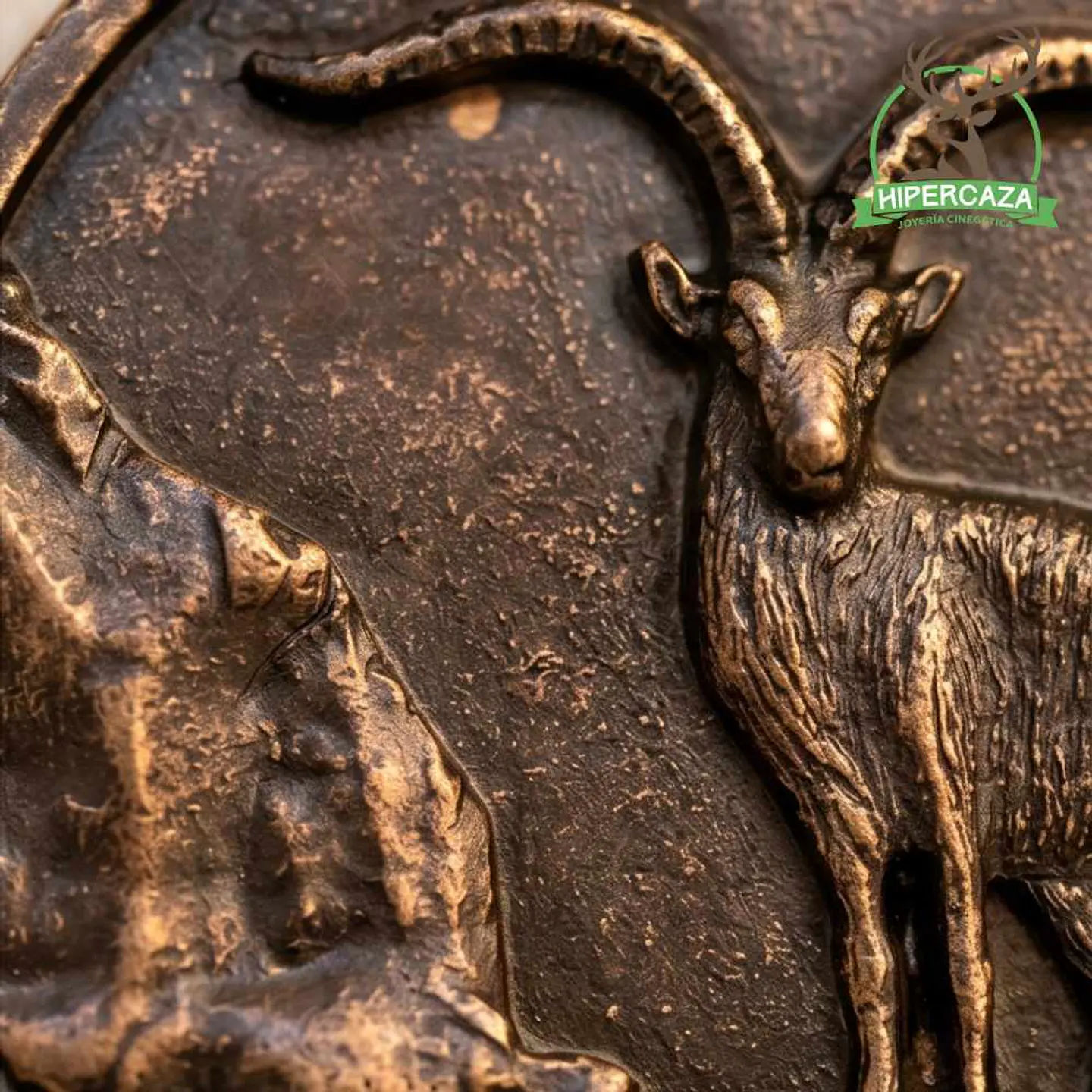 Medalla de homologación macho montés bronce  4
