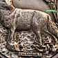 Medalla de homologación zorro plata - Thumbnail 4