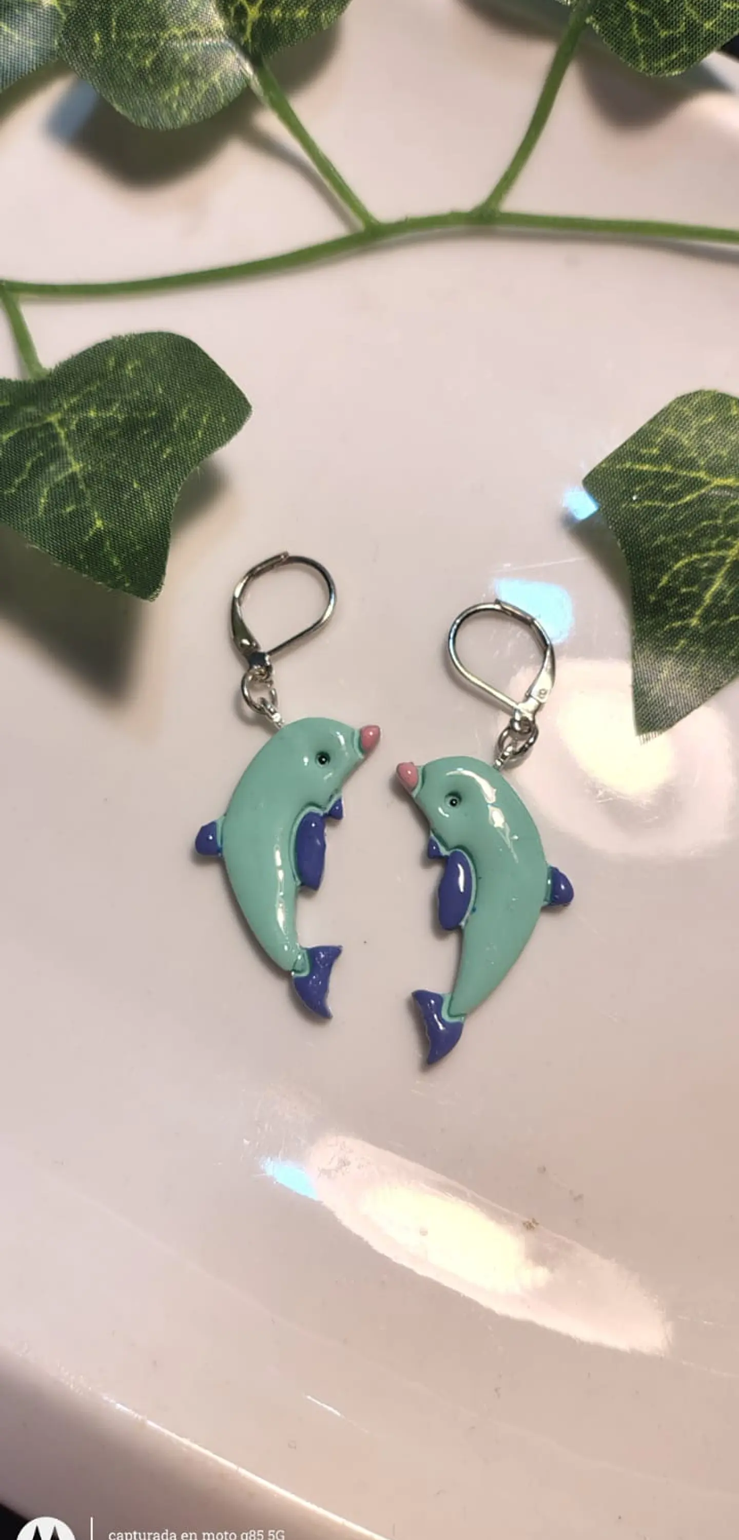 Aritos Delfin  1