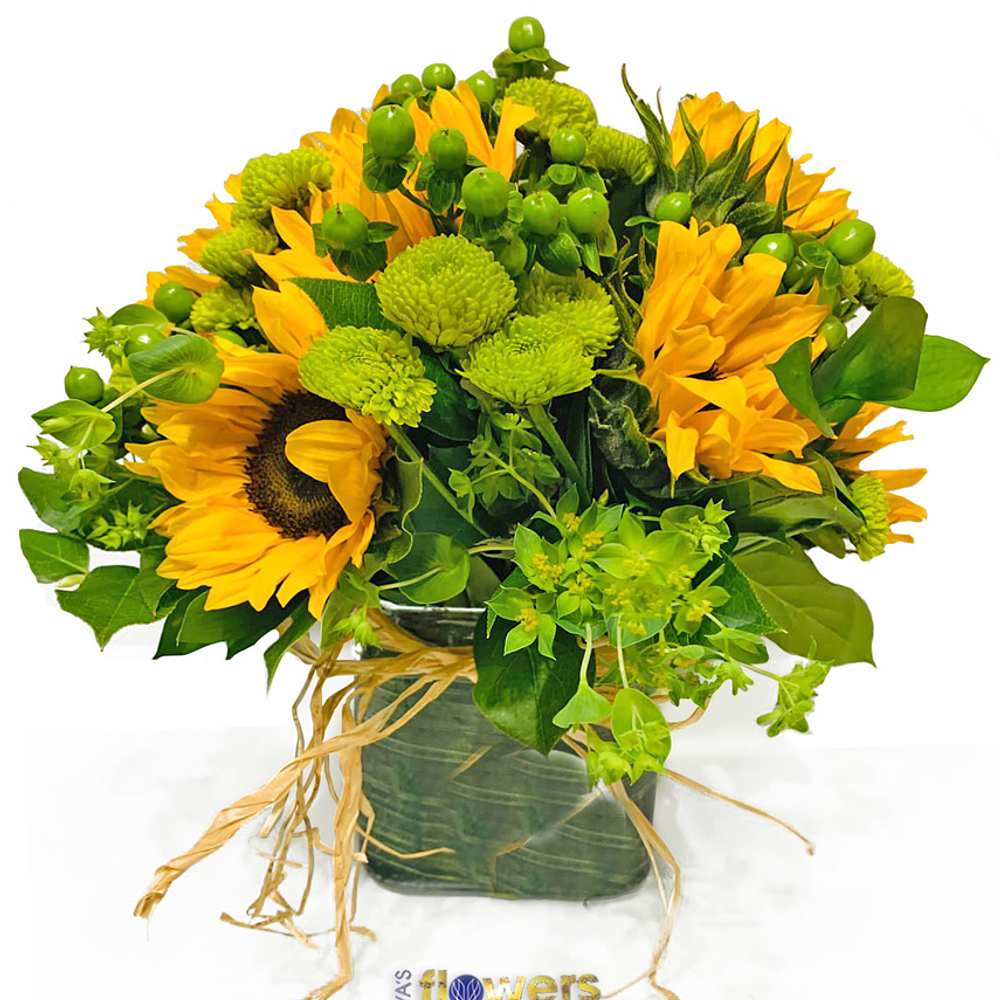 Sunflowers and Greens