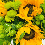 Sunflowers and Greens