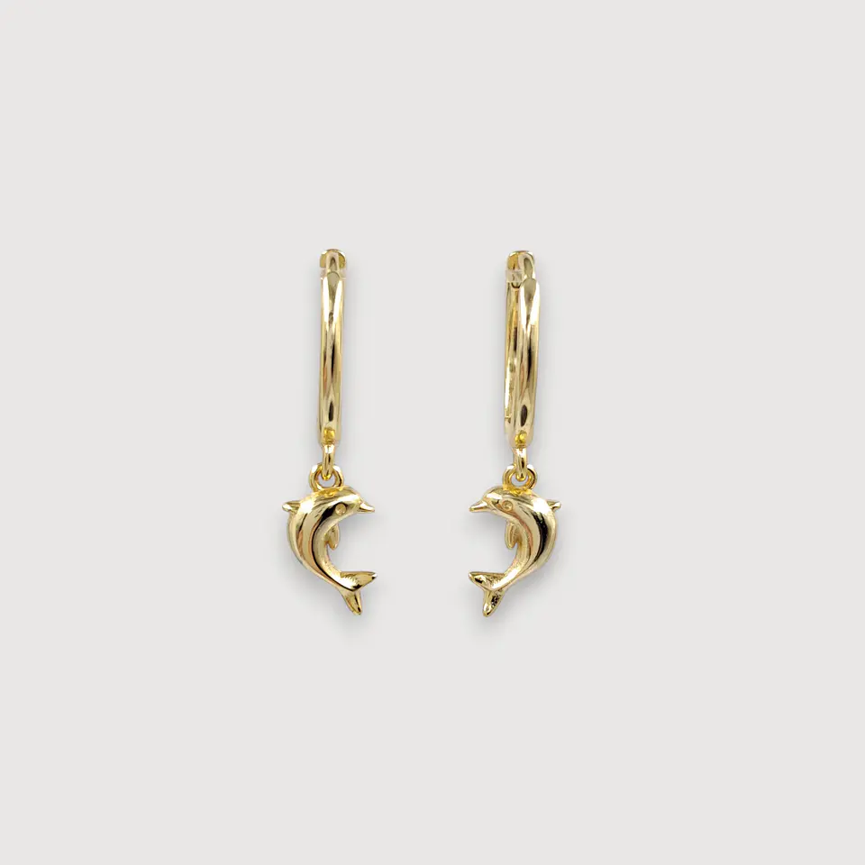 Argollas Delfina | Plata 925 baño de oro 18k 1