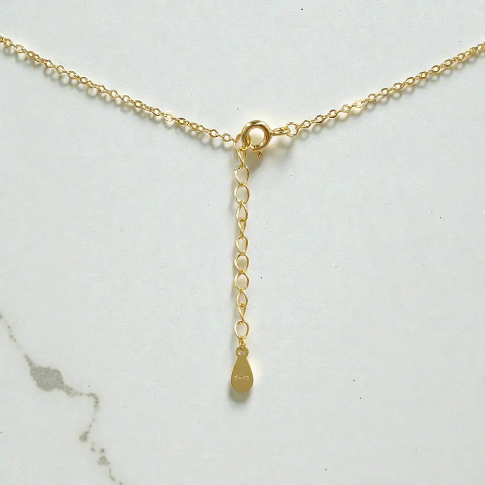 Collar Florina | Plata 925 baño de oro 18k 3