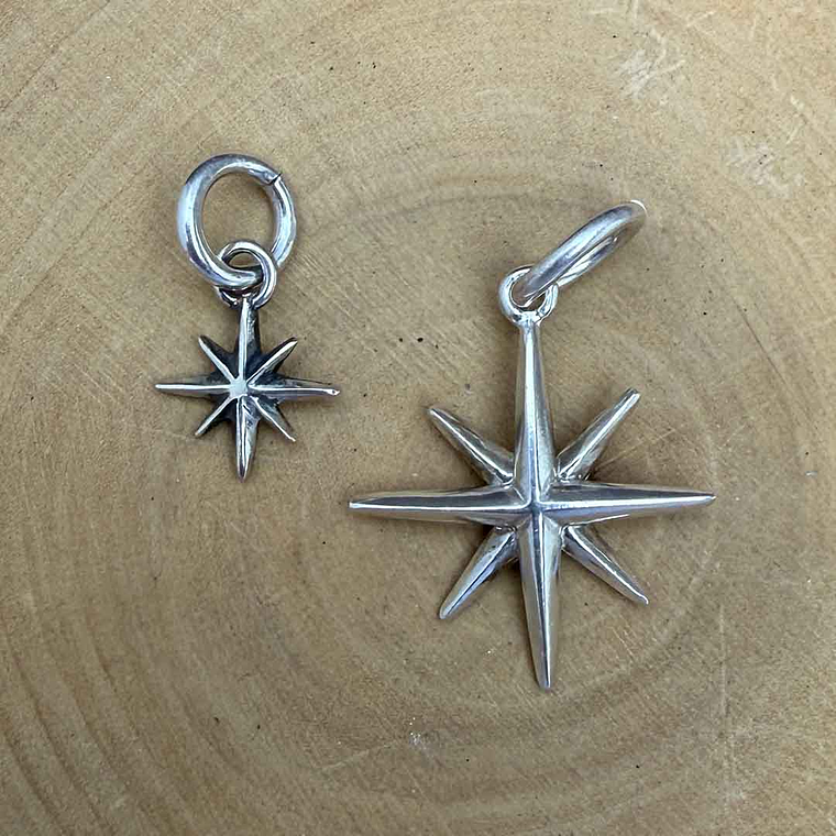 Medalla Grande Rosa de los 4 Vientos Plata 950 2