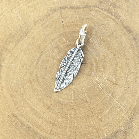 Medalla Pluma Chica de Plata 950