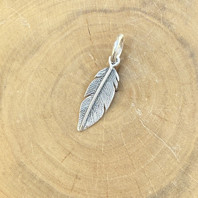 Medalla Pluma Chica de Plata 950 1