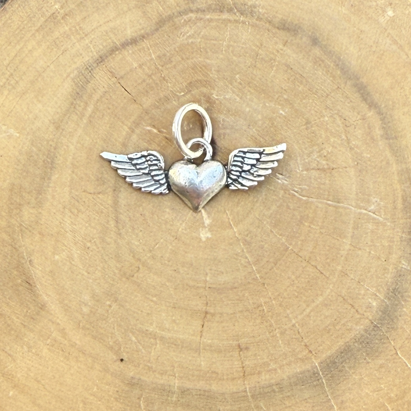 Medalla Corazón con Alas de Plata 950 1