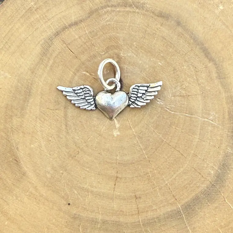 Medalla Corazón con Alas de Plata 950 1