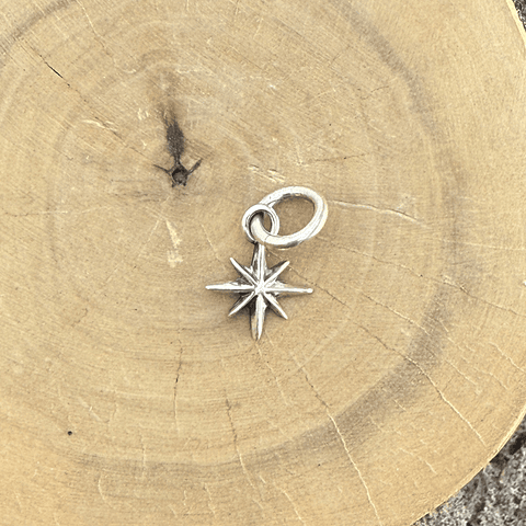 Medalla Rosa De Los 4 Vientos de Plata 950