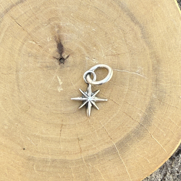 Medalla Rosa De Los 4 Vientos de Plata 950 1