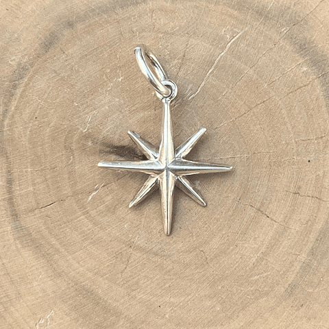 Medalla Grande Rosa de los 4 Vientos Plata 950