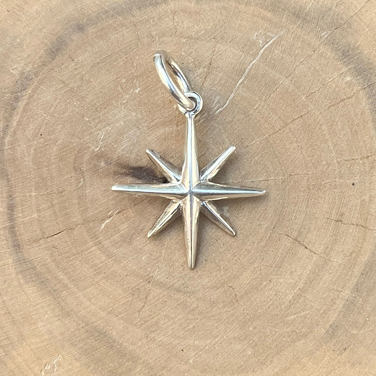 Medalla Grande Rosa de los 4 Vientos Plata 950 1