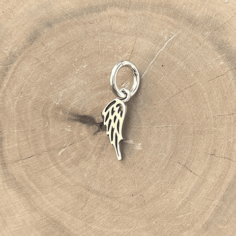 Medalla Alita Plata 950