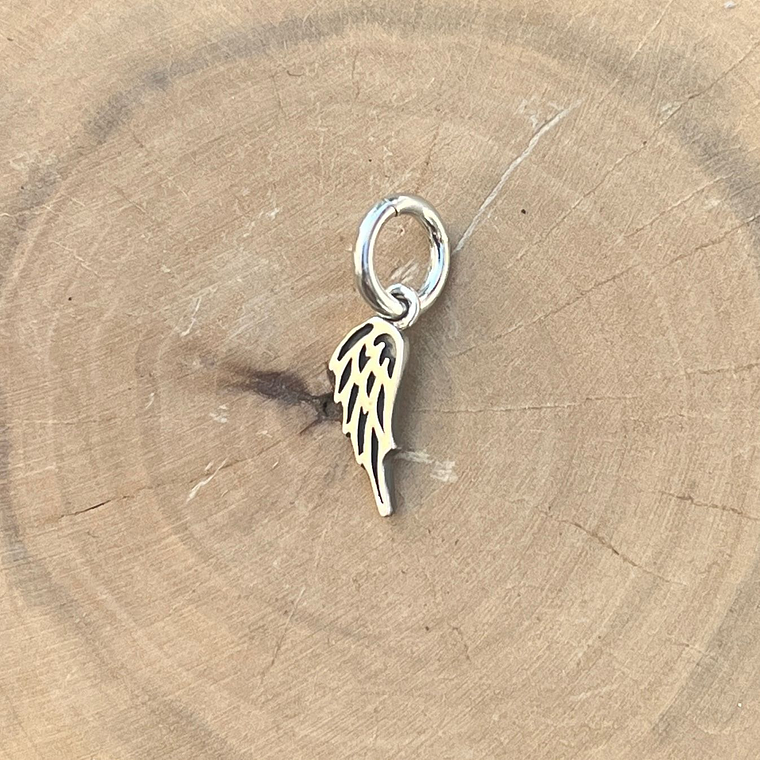 Medalla Alita Plata 950 1