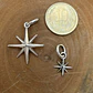 Medalla Rosa De Los 4 Vientos de Plata 950 - Miniatura 2