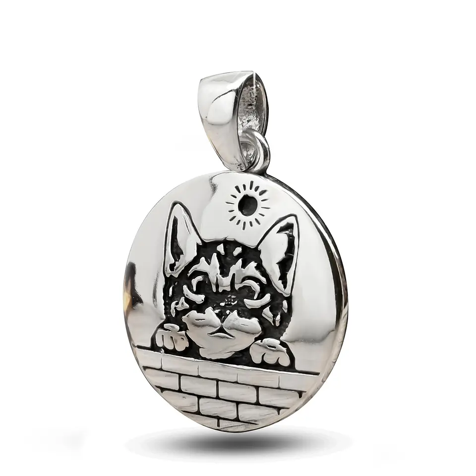 Gato 1