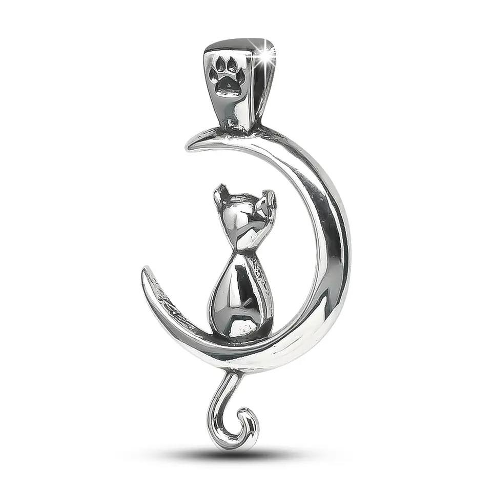 Gato Luna Garra 1