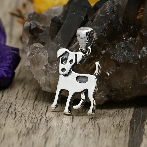 Jack Russell Terrier
