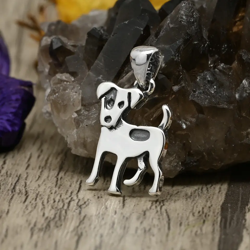 Jack Russell Terrier 1