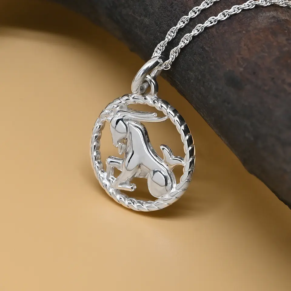 Signo Zodiacal Capricornio 1