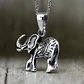Elefante  - Miniatura 1