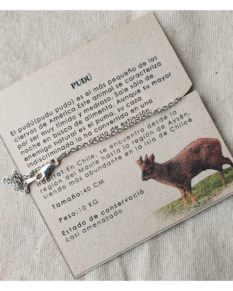 PULSERA PUDÚ CON CADENA 