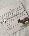 PULSERA PUDÚ CON CADENA 