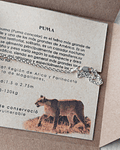 PULSERA PUMA CON CADENA