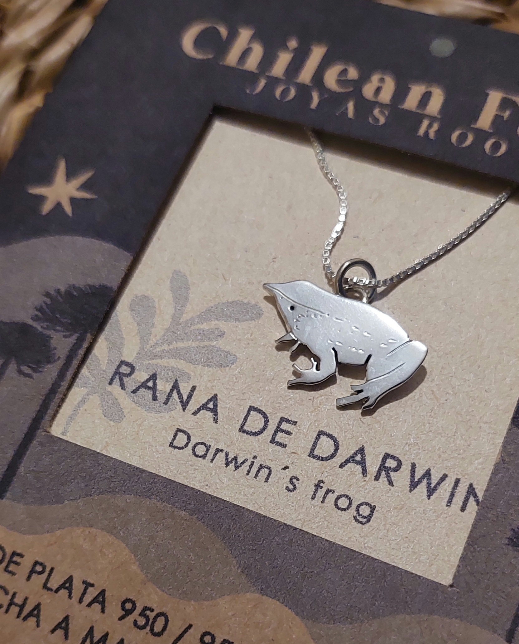 COLLAR RANITA DE DARWIN