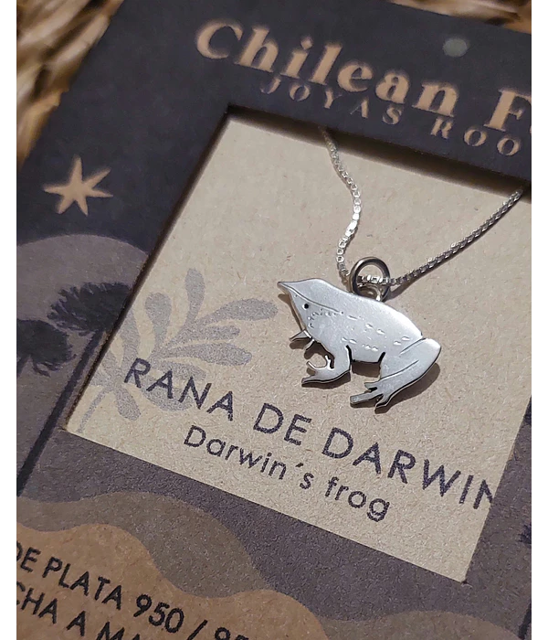 COLLAR RANITA DE DARWIN 