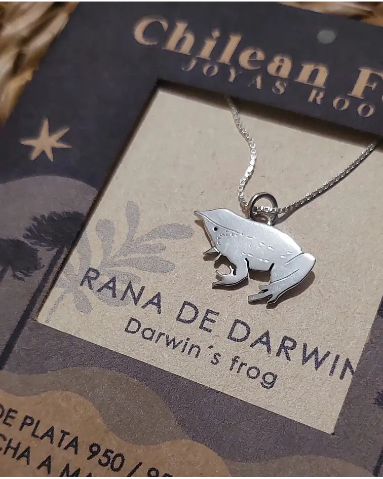 COLLAR RANITA DE DARWIN 