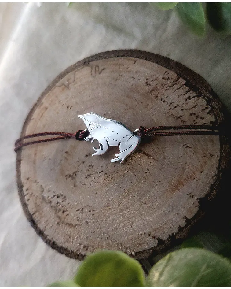 PULSERA RANITA DE DARWIN 