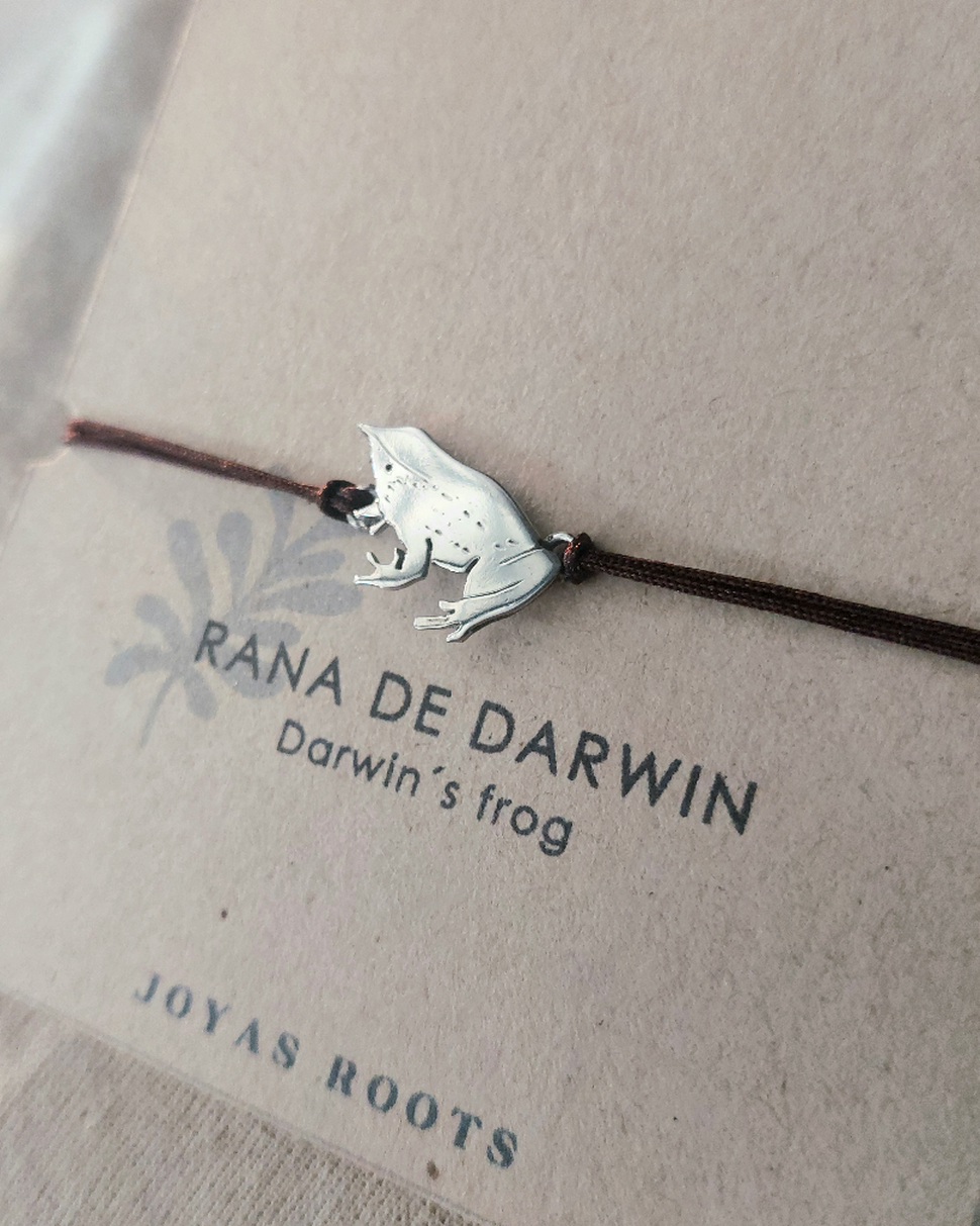 PULSERA RANITA DE DARWIN
