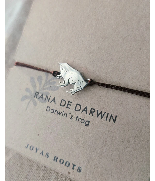 PULSERA RANITA DE DARWIN 