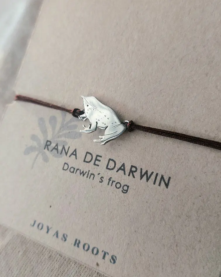 PULSERA RANITA DE DARWIN 