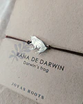 PULSERA RANITA DE DARWIN 