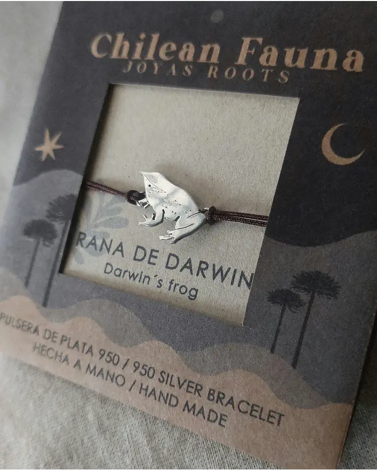 PULSERA RANITA DE DARWIN 