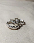 ANILLO ORGANICO 