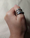 ANILLO ORGANICO 
