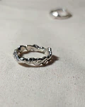 ANILLO ORGANICO 