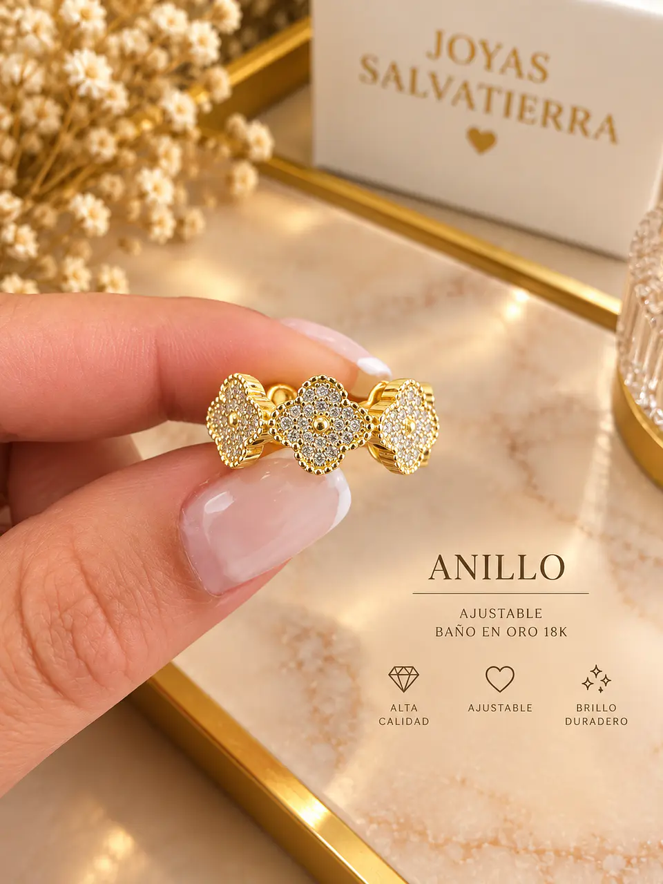 anillo 1 1