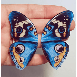 Aros mariposas pavorreal