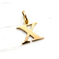 Colgante inicial 2 cm Oro 18k - Miniatura 1