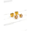Aros chatón italiano rosa de Francia medianos Oro 18k