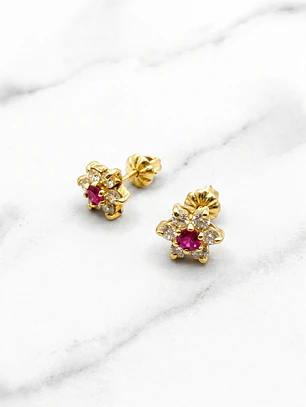 Aros rosa con circónes y rubí grandes Oro 18k
