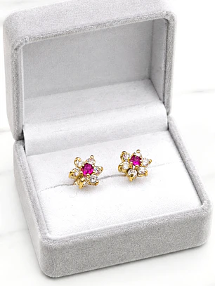 Aros rosa con circónes y rubí grandes Oro 18k